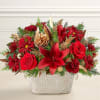 Unveil the elegance of the season with our Crimson Treasure Cachepot. This