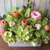 Mass of green hydrangea, cymbidium orchids, ranucula and lissianthus in low rectangle