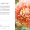 Peonies: Beautiful Varieties For Home &amp; Garden