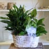 A lovely mixture of seasonal foliage for any occasion.