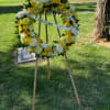 Yellow and white flowers 