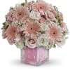 Celebrate the cutest baby girl on the block&#039;s arrival with this charming