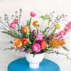 Vibrant, cheerful color tones come together perfectly in a stylized collection of