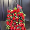 An elegant clear bag with 30 stems of Holland tulips .3 BUNCHES