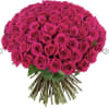 This vase includes 100 stems fresh cut hot pink .Ecuadorian roses 