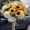 14 sunflowers, 7 Hydrangea and Seeded Eucalyptus  
