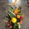 Bird of Paradise, Pin Cushion, Succulents, Orchids