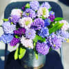 All the colors of hyacinth amazing flagrance of the smell of this