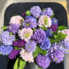 All the colors of hyacinth amazing flagrance of the smell of this