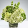 Ring in St Paddy&#039;s 2025 with this trendy on point floral arrangement.