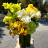 Capture the essence of natural beauty with our stunning display of yellow