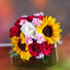 Stunning Sunflowers coupled with Ravishing Roses delightfully designed to let that special