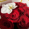 Long stem Red Rose 

Standard - 12 roses
Deluxe - 24 roses 
Premium