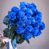 Standard size-24 Blue Roses