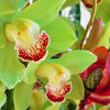 This ain&rsquo;t your typical bouquet&mdash;it&rsquo;s a full-on jungle vibe, baby. Lush green