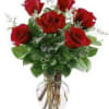 Celebrate someone you love with a stunning arrangement of 6 (six) vibrant