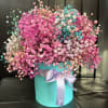 Colorful baby breath in the box it will last almost two weeks