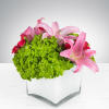 This colorful, spring bouquet contains lilies, spray roses, and hydrangea. It is