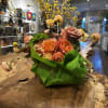 A whimsical celebration of nature&#039;s extravagance, where coral-hued Free Spirit garden roses