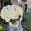 Bunch of lush premium hydrangea in a tall glass vase!