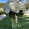 Bunch of lush premium hydrangea in a tall glass vase!