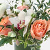 [ Height: 12&quot; - 13&quot; | Diameter: 10&quot; - 11&quot; ]

Perfect for