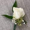 White Spray Roses 
