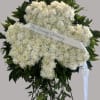 Everlasting Shamrock Funeral Wreath

Celebrate the life and legacy of your loved one