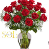 12 long steam red roses, green fillers and babies Breath in a