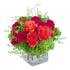 Samba Blooms is a vibrant and lively floral arrangement bursting with bright