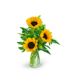Our Three Suns of Joy design radiates warmth and happiness with vibrant