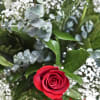 One of our most popular bouquet is the TRADITIONAL in a clear