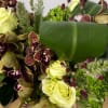 - Combines natural elements with rich, luxurious flowers for a balanced aesthetic.
-