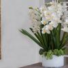 Let our master designers design a magnificent show piece for your home