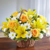 Basket arrangement of yellow roses, Asiatic lilies and alstroemeria and white daisy