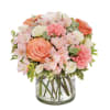 A soft and tender bouquet, perfect for expressing your gentle loving thoughts