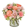 A soft and tender bouquet, perfect for expressing your gentle loving thoughts