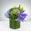 This arrangement includes flowers like green dianthus, blue iris, white tulips, hyacinths