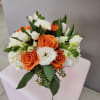 Orange and white
