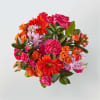 The Fiesta Bouquet is composed of a lively mix, fit to celebrate