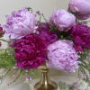 Seasonal Availability Only

Meaning lavish in French, Somptueux was made to highlight the