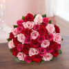 A bouquet of red and roses beautifully arranged and wrapped.

1 dozen (standard)
2