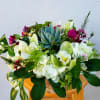 Boho style of blooms in a birch basket. Orchids, hydrangeas,  succulent...