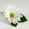This boutonniere is simple while still being elegant . Price is for