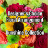 Oh, the brightest of blooms and sunniest of colors! That&rsquo;s how our