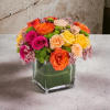 A full-color explosion, Kaleidoscope is a beautiful gift for anybody! A glass
