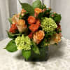 Orange and green have never looked better together ! Orange and rust