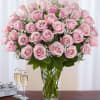 Our pretty pink long stem roses are the ultimate way to charm