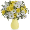 Surprise someone you love with an array of amazing daisies in a