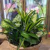 Planter in Basket